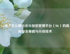 mg电子怎么藏分出分加密管理平台（MG）的高级安全策略与分段技术