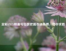 足彩17175期盈亏指数把握市场脉搏，稳中求胜