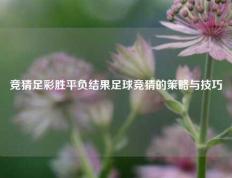 竞猜足彩胜平负结果足球竞猜的策略与技巧