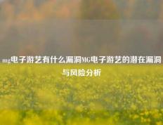 mg电子游艺有什么漏洞MG电子游艺的潜在漏洞与风险分析