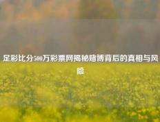 足彩比分500万彩票网揭秘赌博背后的真相与风险
