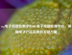 mg电子线路检测中心MG电子线路检测中心，保障电子产品品质的关键力量