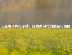 ag是电子牌电子牌，探索新时代的创新与便捷