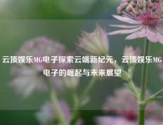 云顶娱乐MG电子探索云端新纪元，云顶娱乐MG电子的崛起与未来展望