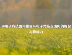AG电子竞技国内排名AG电子竞技在国内的崛起与影响力