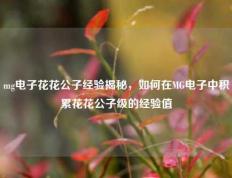 mg电子花花公子经验揭秘，如何在MG电子中积累花花公子级的经验值
