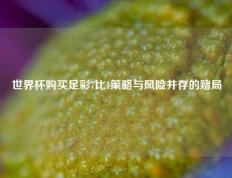 世界杯购买足彩7比1策略与风险并存的赌局