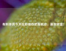 有料体育今天足彩推荐把握机会，赢取财富！
