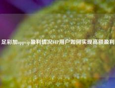 足彩加appvip盈利情况VIP用户如何实现高额盈利