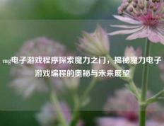 mg电子游戏程序探索魔力之门，揭秘魔力电子游戏编程的奥秘与未来展望