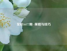 足彩16177期 -策略与技巧