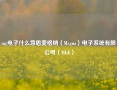 mg电子什么意思麦格纳（Magna）电子系统有限公司（MGE）