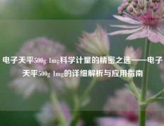 电子天平500g 1mg科学计量的精密之选——电子天平500g 1mg的详细解析与应用指南