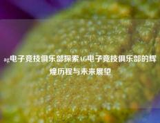 ag电子竞技俱乐部探索AG电子竞技俱乐部的辉煌历程与未来展望