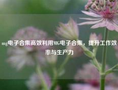 mg电子合集高效利用MG电子合集，提升工作效率与生产力