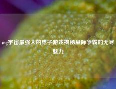 mg宇宙最强大的电子游戏揭秘星际争霸的无尽魅力