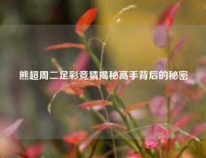 熊超周二足彩竞猜揭秘高手背后的秘密