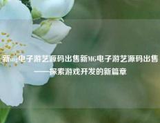 新mg电子游艺源码出售新MG电子游艺源码出售——探索游戏开发的新篇章