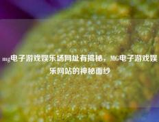 mg电子游戏娱乐场网址有揭秘，MG电子游戏娱乐网站的神秘面纱