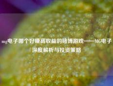 mg电子哪个好赚高收益的赌博游戏——MG电子深度解析与投资策略