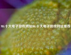 MG十大电子游戏网址MG十大电子游戏网址推荐