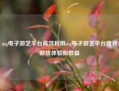 mg电子游艺平台高效利用mg电子游艺平台提升游戏体验和收益