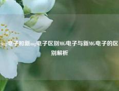 mg电子和新mg电子区别MG电子与新MG电子的区别解析