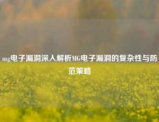 mg电子漏洞深入解析MG电子漏洞的复杂性与防范策略