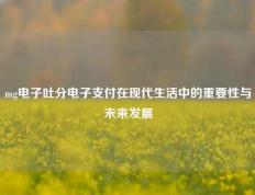 mg电子吐分电子支付在现代生活中的重要性与未来发展