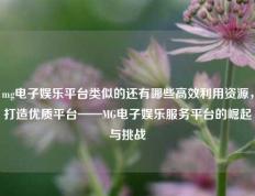 mg电子娱乐平台类似的还有哪些高效利用资源，打造优质平台——MG电子娱乐服务平台的崛起与挑战