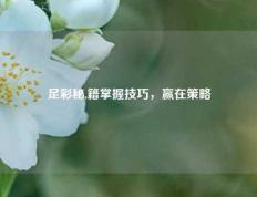 足彩秘,籍掌握技巧，赢在策略