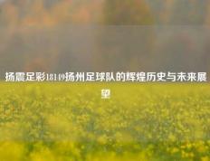 扬震足彩18149扬州足球队的辉煌历史与未来展望
