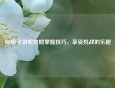 MG电子游戏攻略掌握技巧，享受挑战的乐趣