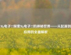 Mg电子77探索Mg电子77的神秘世界——从起源到应用的全面解析