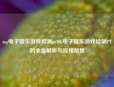 mg电子娱乐游戏检测ptMG电子娱乐游戏检测PT的全面解析与应用前景