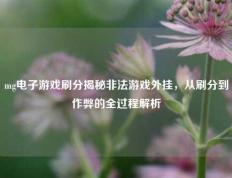 mg电子游戏刷分揭秘非法游戏外挂，从刷分到作弊的全过程解析