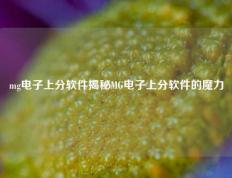 mg电子上分软件揭秘MG电子上分软件的魔力