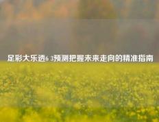 足彩大乐透6 3预测把握未来走向的精准指南
