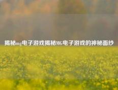 揭秘mg电子游戏揭秘MG电子游戏的神秘面纱