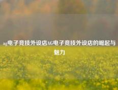ag电子竞技外设店AG电子竞技外设店的崛起与魅力