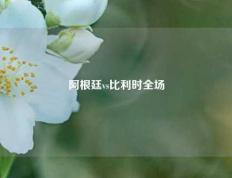 阿根廷vs比利时全场
