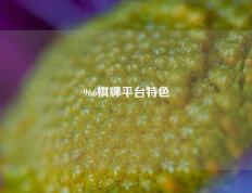 966棋牌平台特色