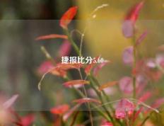 捷报比分5.60