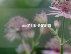 19088足彩比分足彩网