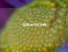 足球500万比分网