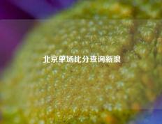 北京单场比分查询新浪