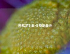 网易足彩比分预测最准