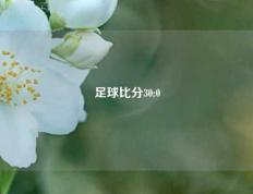 足球比分30:0