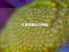 王者荣耀比分网站
