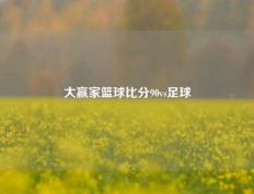 大赢家篮球比分90vs足球